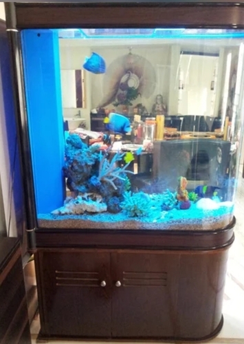 Artificial Reef Aquarium