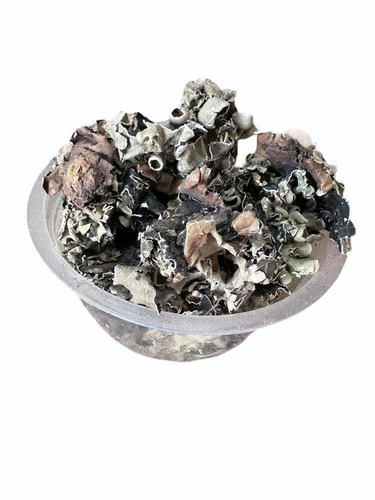 B Grade Black Stone Flower