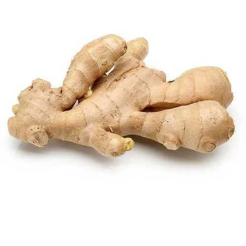 Earth Taste Fresh Ginger - Style: Cooked