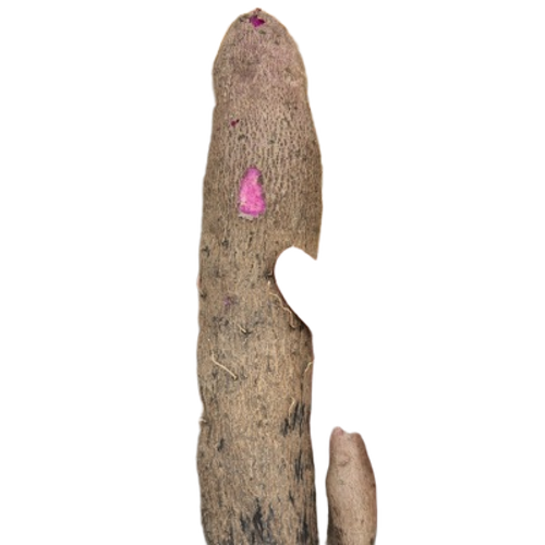 Fresh Yam - Raw, Moisture 60-80% | Organic, Farm Fresh, Chemical Free, Long Shelf Life