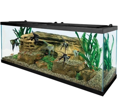 Glass Fish Tank - Durable Glass, Transparent, Customizable Size | Leak Resistant, Scratch Resistant, Elegant Design, Easy Cleaning, Stable Structure, Non-Toxic, Aquatic Safe