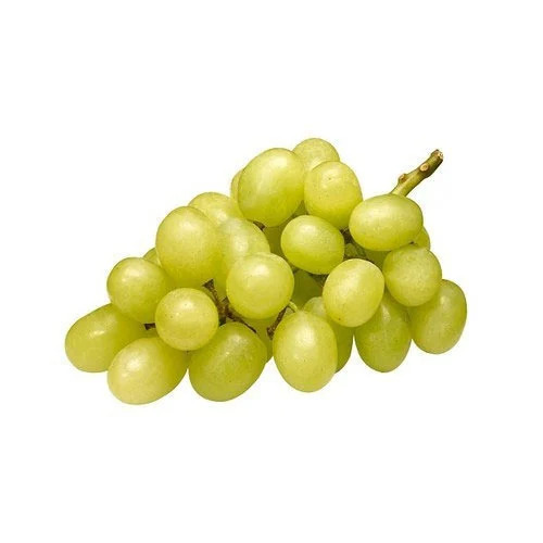 Green Grapes - Cultivation Type: Greenhouse
