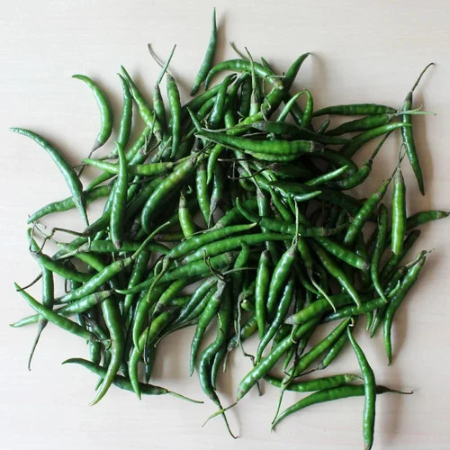 Pungent Taste Green Chillies - Style: Canned