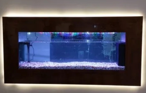 Wall Mounted Aquarium