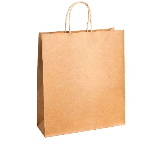 Brown Plain Kraft Paper Bags