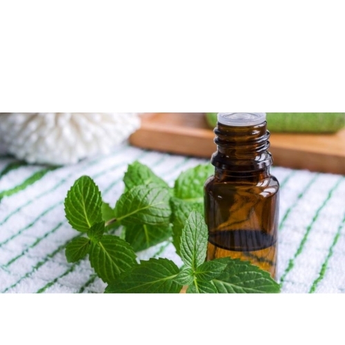 Afreen Hair Oil - Herbal Light Brown to Greenish-Brown Oil, Non Greasy, Lightweight, Pleasant Aroma, Strengthens Roots, Promotes Growth, Moisturizes Scalp, Reduces Dandruff, Smooth Texture