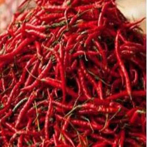 Dry Red Chili