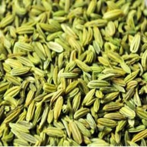 Fennel Seeds