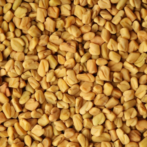 Fenugreek Seeds