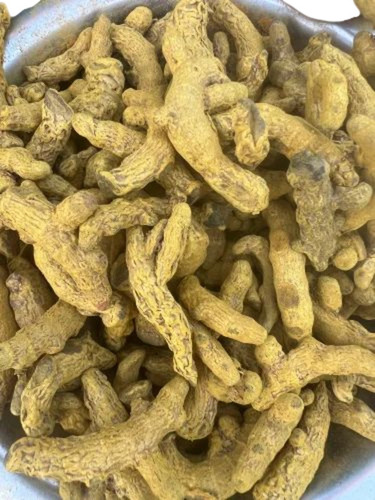 Turmeric Finger