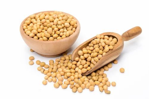 Dry Soybean Seeds 
