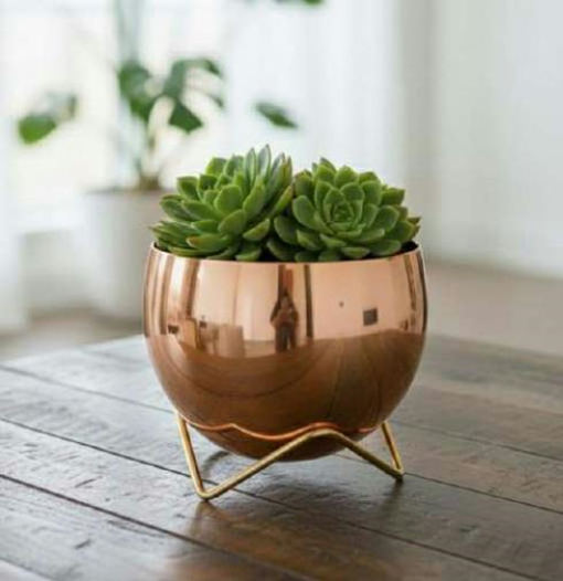 Garden Accessories