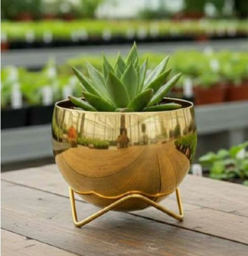 POT STAND WITH PLATING