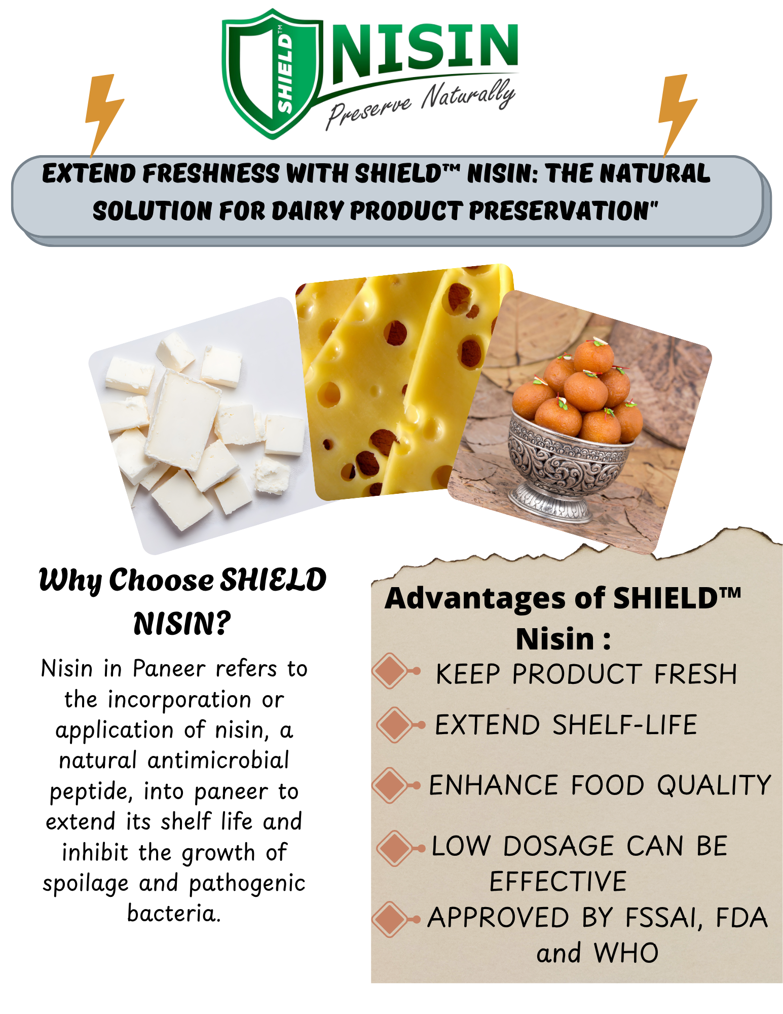 Shield Nisin Bio Preservative - Powder, Odorless, Water Soluble | Natural Food Preservative, Heat and pH Stable, Low Dosage