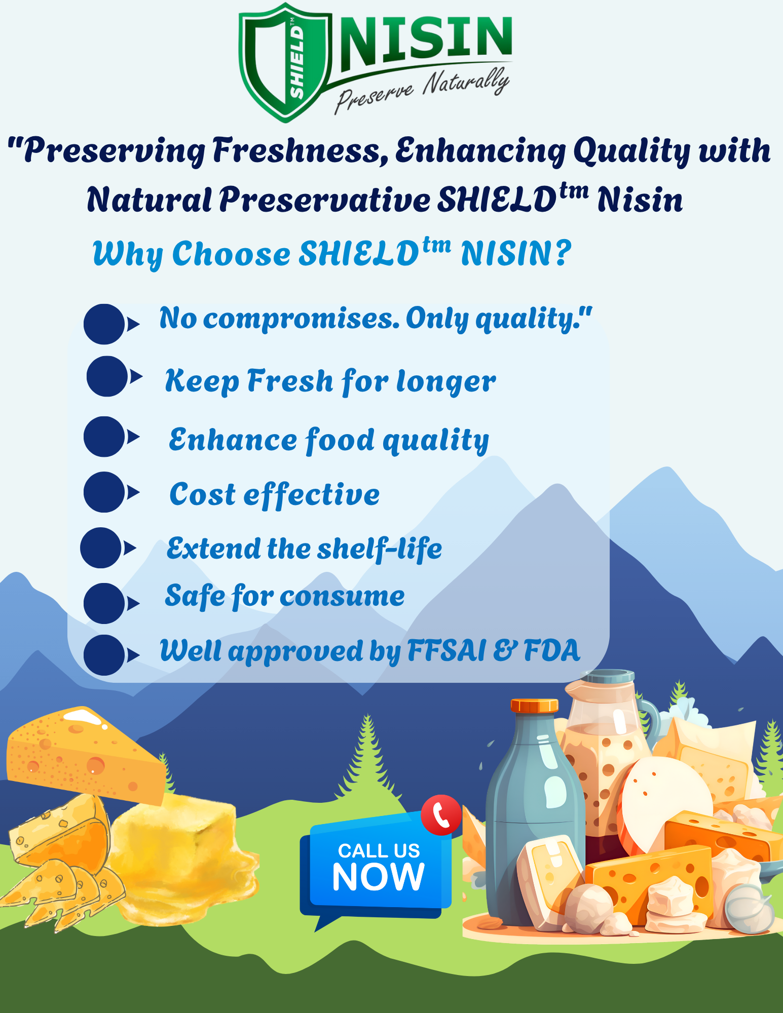 SHIELD NISIN Food Preservative - Odorless Powder Soluble in Water | Extends Shelf Life Used in Dairy Beverages Canned Foods