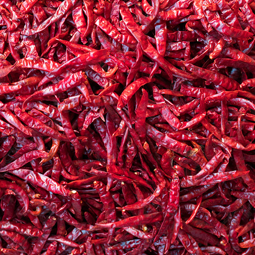 Byadgi With Stem Chilli - Color: Red
