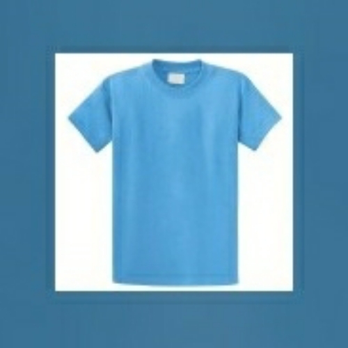 Mens Cotton T Shirt