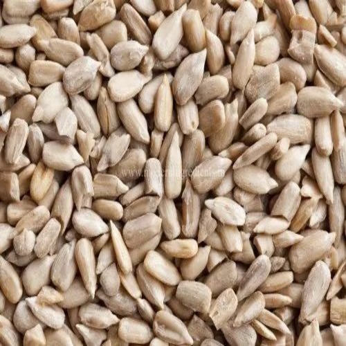Premium Sunflower Seeds