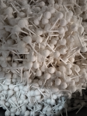 Cotton Wicks - Color: White