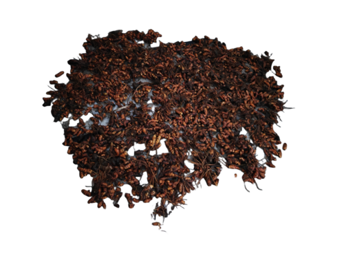 Raw Turmeric - Yellow Powder, 8-12% Moisture, 3-6% Volatile Oil | Natural Color, High Curcumin, Organic, Chemical Free, Earthy Aroma