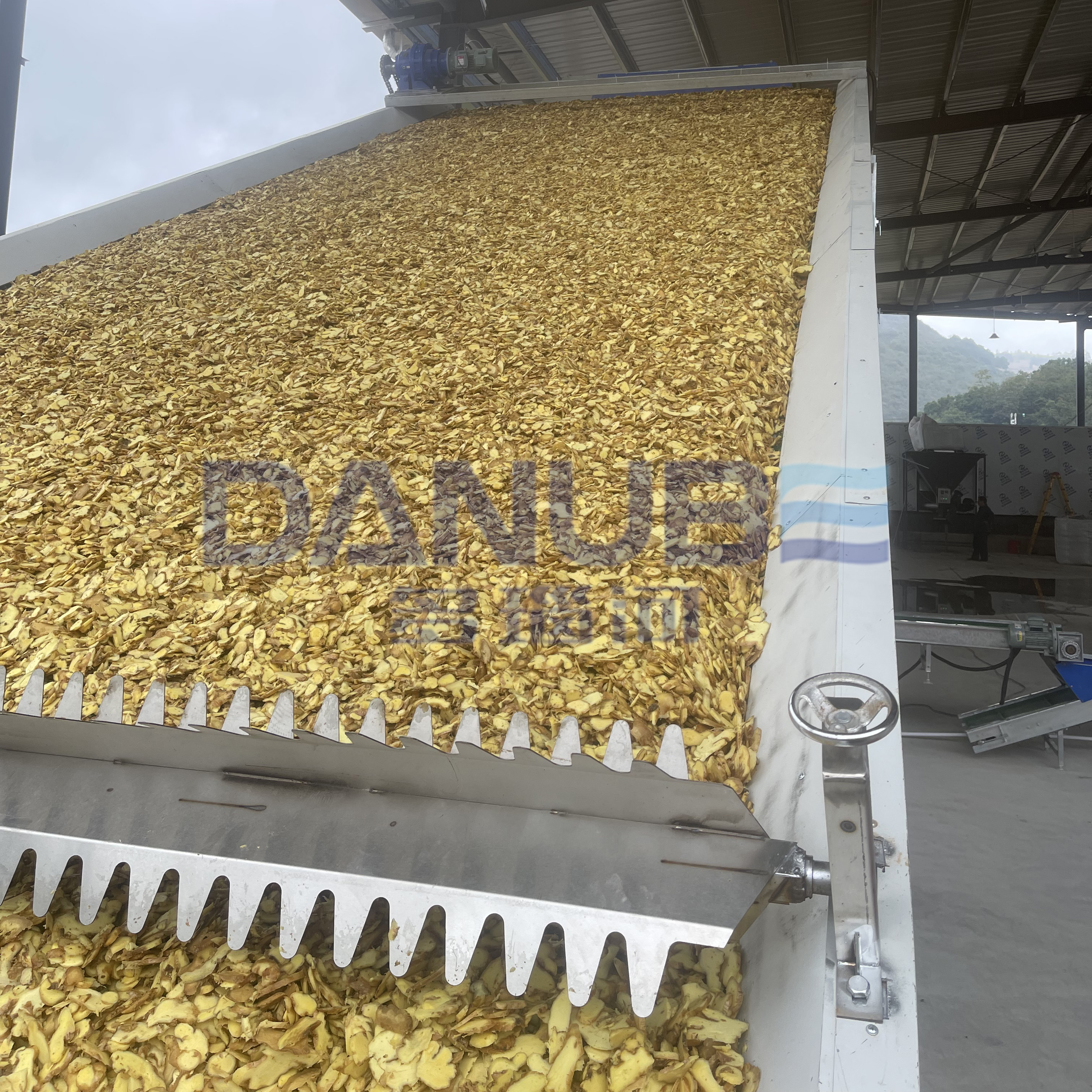 Mesh Belt Dryer Ginger Dehydrator  - Color: Customized