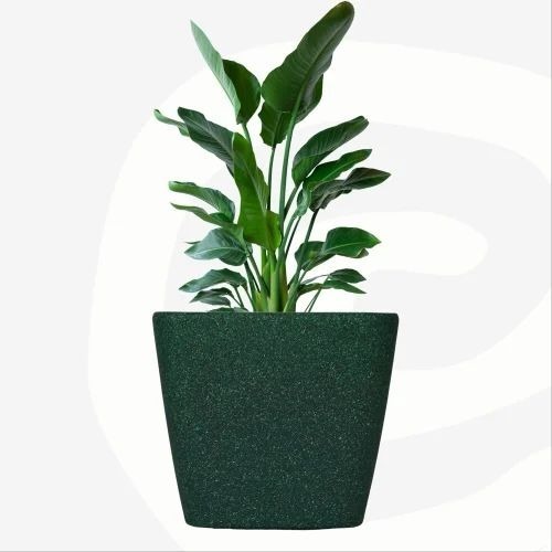 Bamboo Base Planter - Polypropylene Round Green Polished Finish | Garden Use
