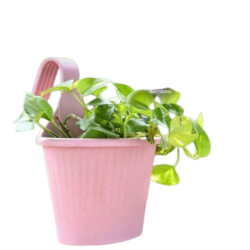 Indoor Hanging Planter - Plastic, Pink, Round, Polished Finish | UV-Protected, Weather Resistant, Garden Use