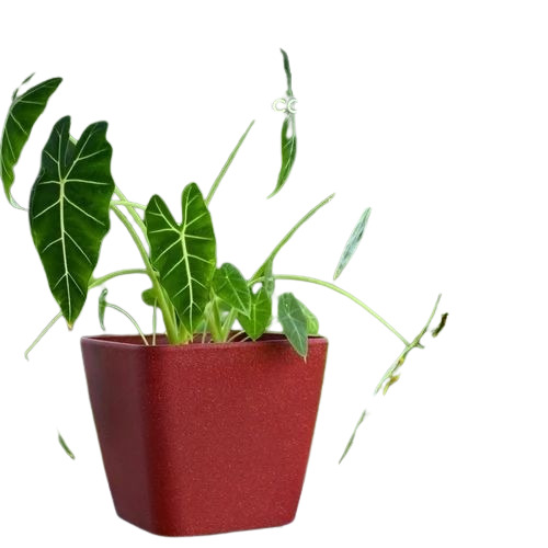 Indoor Red Eco Planter - Bamboo Material, Polished Finish, UV-Protected, Round Design | Garden Use