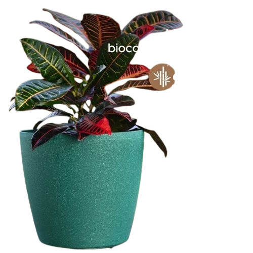 Indoor Self Watering Planter - Bamboo, Green, Round, Polished Finish | UV-Protected, Weather Resistant, Garden Use