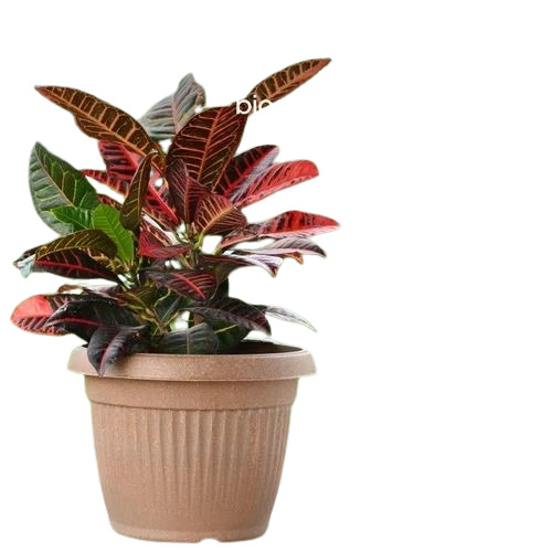 Uv Protected Outdoor Planter - Bamboo, White, Round, Polished Finish | Garden Use