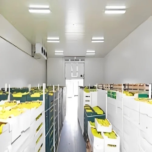 Cold Storage Room
