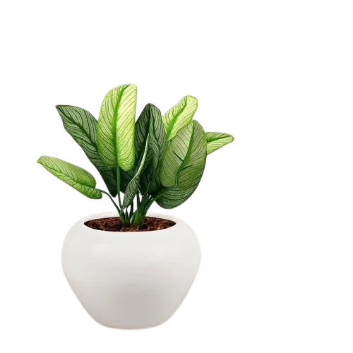 White Ceramic Flower Pot