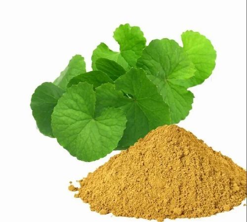 Bacopa Monnieri Powder