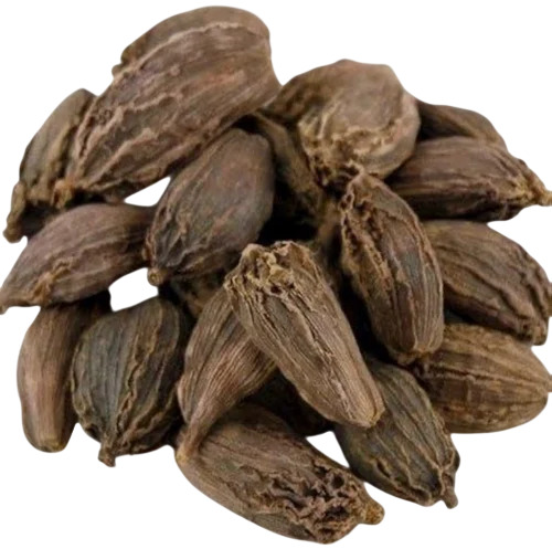 Big Cardamom