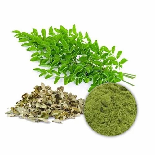 Moringa Extract Powder