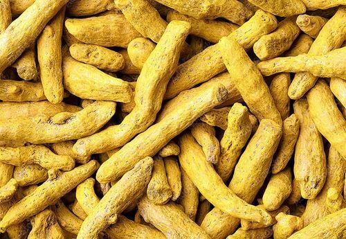 Organic Turmeric Finger