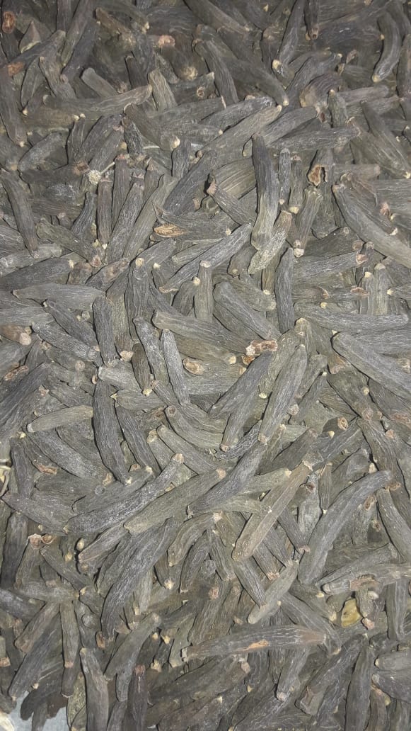 Marathi Moggu (Kapok Buds) Spice - Color: Black