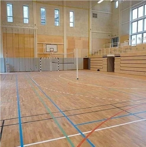 Multi Purpose Court - Color: Brown