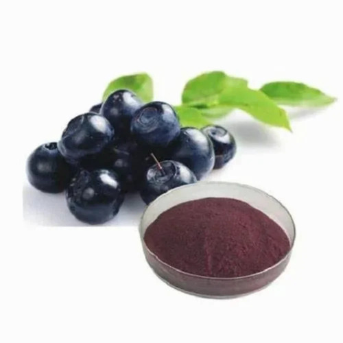 Black Berries Extract