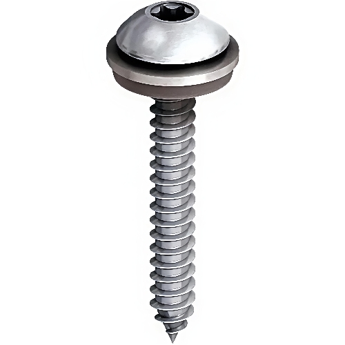 Round 2.5 Inch Stainless Steel Screw