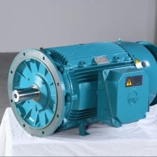 Squirrel Cage Motors