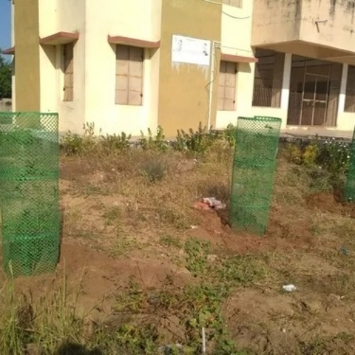 Round Plastic HDPE Tree Guard - High-Density Polyethylene, Green, Round | UV Resistant, Weatherproof, Impact Resistant, Lightweight