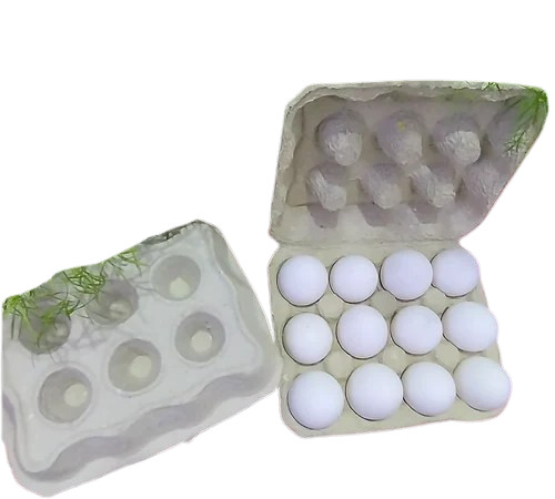 3 Compartment 12 Egg Paper Tray - Square White Paper, With Lid | Disposable, Eco-Friendly, Cold & Heat Resistant, Fine Finish