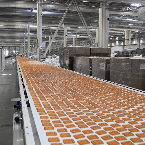Biscuit Cooling Conveyor