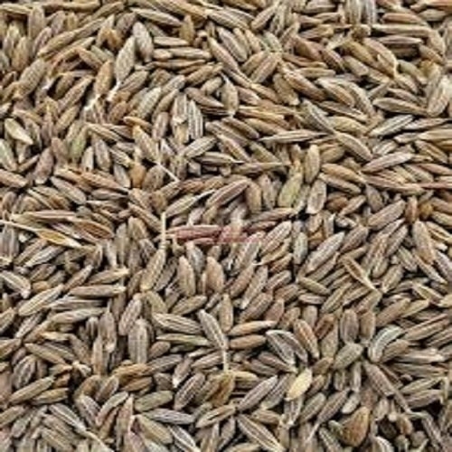 Dry Cumin Seeds