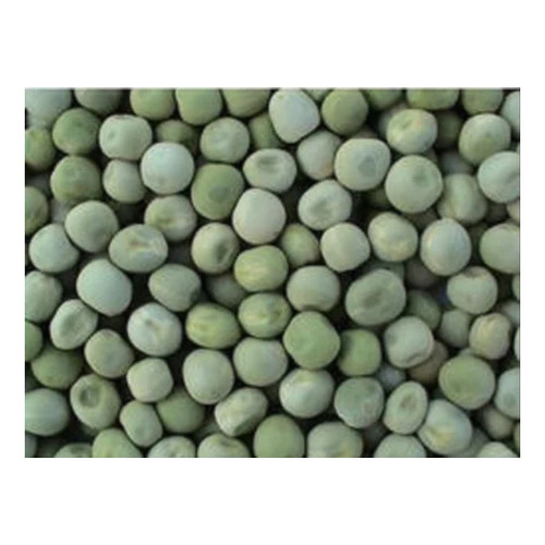 Kashi Nandini Natural Green Pea Seeds - Loose Packaging, Green Color | Food Grade, 2 Years Shelf Life