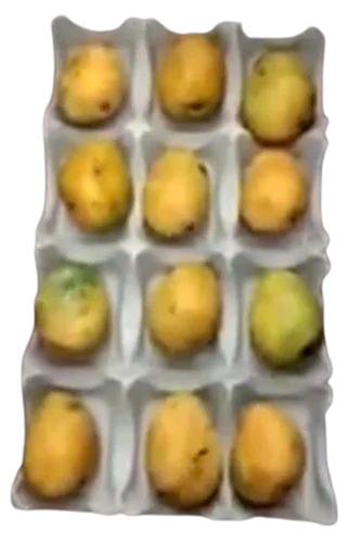 Paper Mango Trays - Color: White