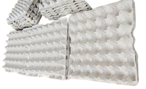 Rectangular 30 Eggs Tray