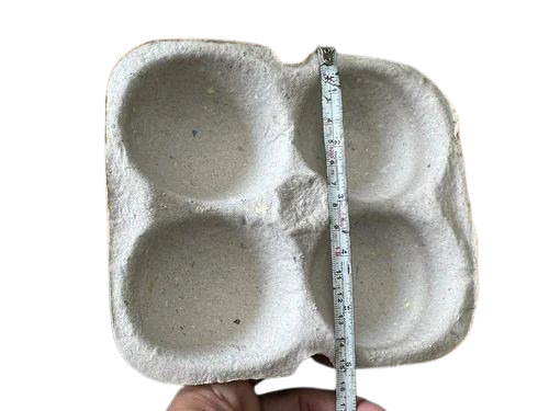 4 Apple Paper Tray - Paper, 11x8 Inch, White | Disposable, Eco-Friendly, Cold & Heat Resistant, Lid Closure