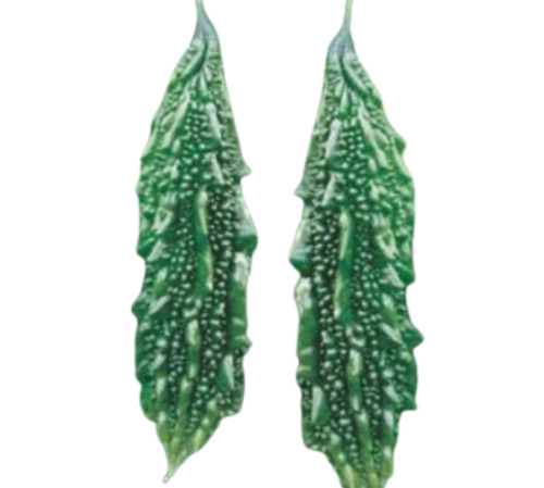 Bitter Gourd - 50 kg, Chopped, Elongated | Fresh, Very Good Quality, Cooked Style